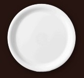 Dinner Plate -9”
