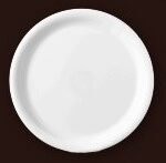 Medium Plate -8”